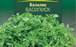 Fragrant Basilisk for pickles and fresh salads
