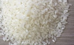 What is Baldo rice and what is it used for