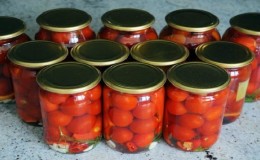 Top 15 most delicious recipes for canned tomato: how to salt tomatoes for the winter in jars