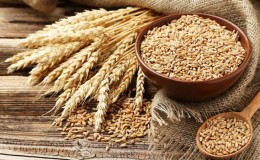 What is made from rye and how is this cereal useful?