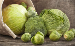 Cabbage from mastopathy: treatment with alternative methods, reviews