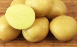 Drought-resistant and unpretentious potato variety