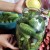 The most delicious recipes for sweet cucumbers for the winter on a liter jar