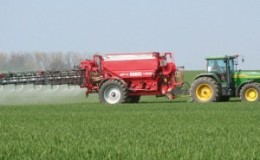 Fertilizers for winter wheat: how to feed in the fall