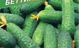 An early ripe hybrid of 