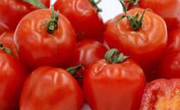 A variety with an appetizing name - tomato