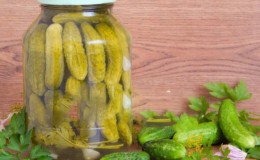 How to salt gherkins cucumbers delicious, quick and easy: 7 best recipes
