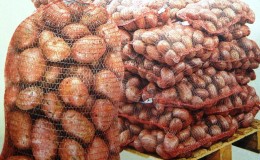 Potato storage rules: can it be washed before laying
