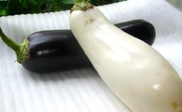 What are white eggplants and how they differ from ordinary ones