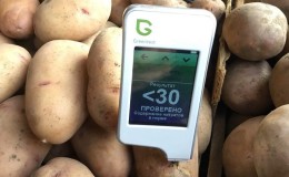 We buy harmless vegetables: how to check potatoes for nitrates at home and what is it for