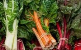 What is Swiss chard, how to eat it correctly and how it can be useful