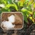How, when and what to feed the beets in July-August: the secrets of agricultural technology to get a rich harvest