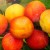 The best varieties of cherry plum for the Moscow region