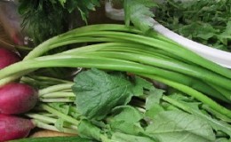 Is it possible to eat the stem and leaves of a radish
