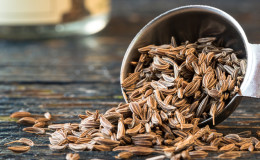 Dill and caraway are the same thing or not: we understand the issue and learn to distinguish between them