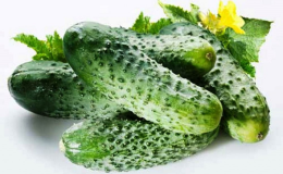 What are the varieties of cucumbers, full classification