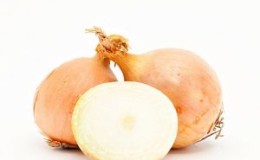 High-yielding onion hybrid for long-term storage