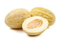 The most popular and beloved by many melon