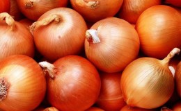 Very early and cold-resistant salad type of onion