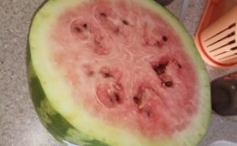 What do white streaks in a watermelon mean and what other signs should alert you