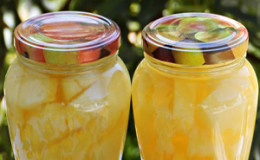 Top 8 best recipes for cooking melon in syrup for the winter in cans
