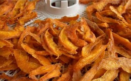 Healthy snacks at home: how to dry pumpkin in an electric dryer correctly and with what you can eat it