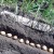 What should be the planting depth of potatoes, what it depends on and what it affects