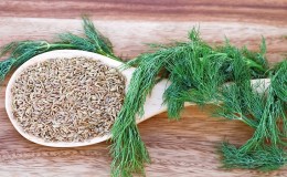 A tasty and healthy way to fight obesity: dill for weight loss
