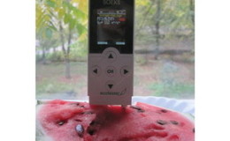 How can you test a watermelon for nitrates at home?