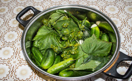 6 of the most delicious pickle recipes in a saucepan
