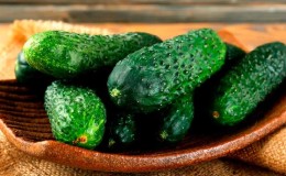 Greenhouse popular hybrid with a beautiful name and bountiful harvest - cucumbers