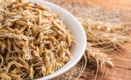 The benefits and harms of sprouted oats