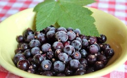 The best ways to freeze black currants for the winter in the freezer