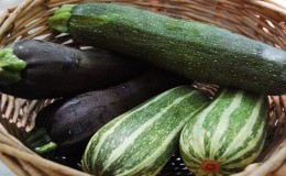 What and how to store zucchini for a long time - we create ideal conditions