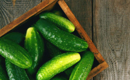 The benefits and harms of cucumbers for a woman's health and methods of their use