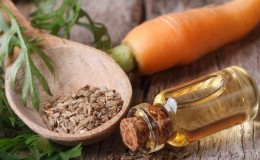 How to make carrot seed oil and what it is used for
