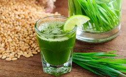 Maximum benefits in one glass: we prepare and drink wheatgrass juice correctly