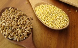 What is the Difference Between Millet and Wheat and How to Use Them in Cooking