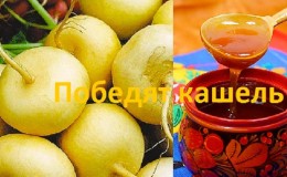 Does turnip with honey help cough and how to properly use such a medicine