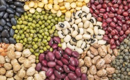 Varieties and varieties of beans: horse (garden), decorative, large-fruited vegetables, fodder