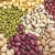 Varieties and varieties of beans: horse (garden), decorative, large-fruited vegetables, fodder