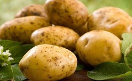 What is good about the German variety of potatoes