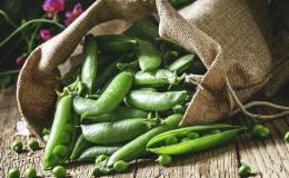 What are useful and harmful peas for humans