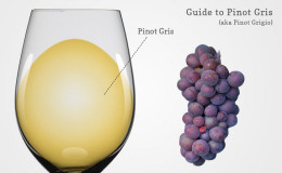White grape variety