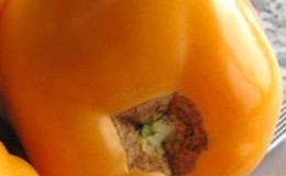 A striking representative of mid-season fruitful varieties - tomato