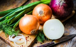 Where did the onion grief come from: why do we cry when we cut onions