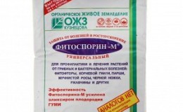 Instructions for the use of phytosporin for cucumbers