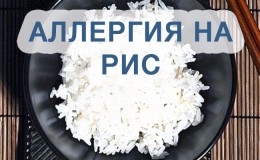 Is rice allergy possible and how does it manifest?