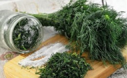 How to salt dill for the winter in jars: simple recipes from experienced housewives