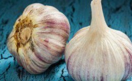 We study the problem thoroughly: garlic turns yellow in spring - what to do and how you can prevent it